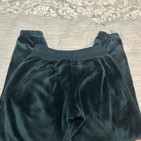 Double Cozy Karma Velvet Joggers - Picture 3 of 5